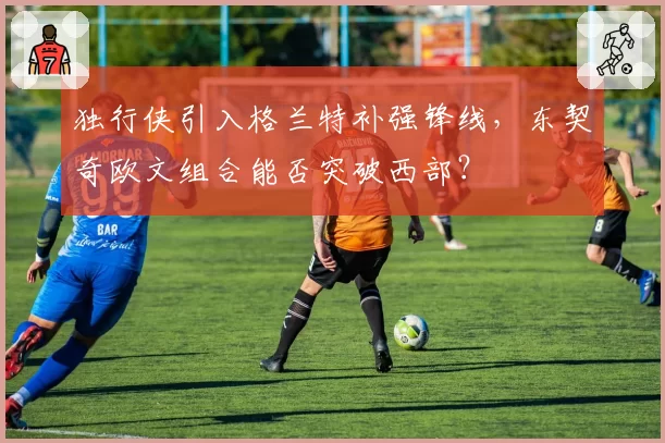 独行侠引入格兰特补强锋线，东契奇欧文组合能否突破西部？