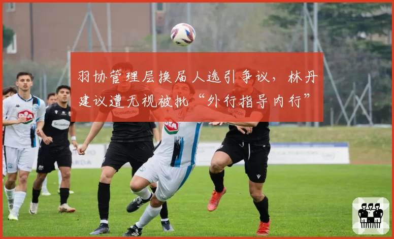 羽协管理层换届人选引争议,林丹建议遭无视被批“外行指导内行”